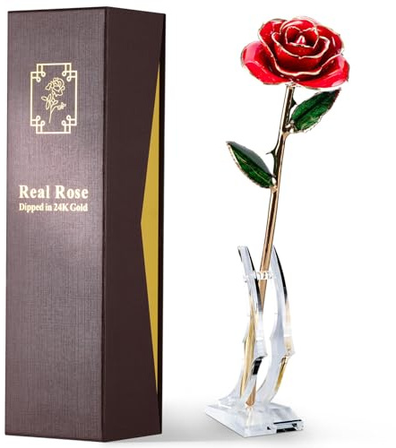 ECO SPACE Gold Dipped Rose - Hand-Dipped Real 24K Gold Rose - Genuine One of a Kind - Eternal Romantic Present for Her - Perfect for Valentines, Mother's Day, Anniversary, Birthday (Red)