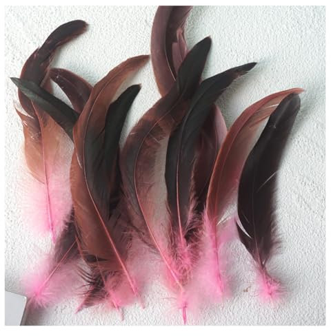 Yurosiay Hahnfedern Natur Deko-Federn 20-25cm Farbige Hahn Feder Bastelfedern für für DIY Traumfänger Hüte Masken Hochzeits Party Halloween Karnival Zuhause Dekor Zubehör Rosa 50pcs