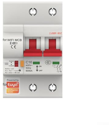 Interruttore WiFi intelligente, modulo fai da te per soluzione di automazione domestica intelligente, interruttore relè timer telecomando, per elettrodomestici, 2P (32A)