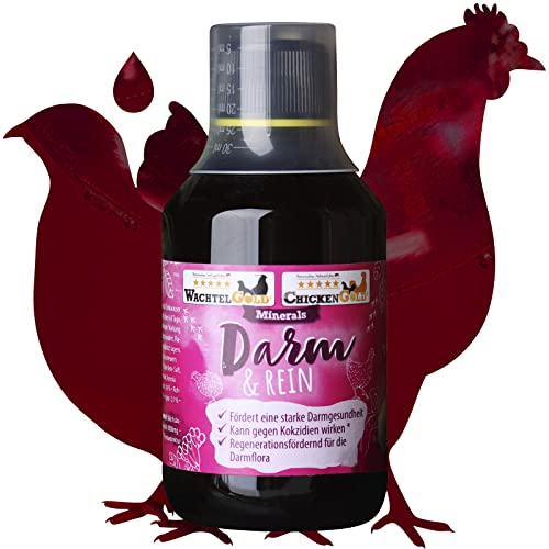 federgold® Darm&rein 100 ml – Nahrungsergänzung für Wachteln & Hühner | Mit Kräutern & Gemüseextrakten | Stärkt Darmflora & Immunsystem | Kann Kokzidien & Würmern vorbeugen | Ergänzungsfuttermittel