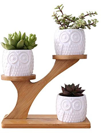 FLBT Pflanzenständer Bambusleiter Pflanzenständer Bambus Desktop Blumenständer mit 3 Keramik Blumentopf Mini Pflanzenständer Ornament für Home Office Schreibtisch Perfekte Dekoration