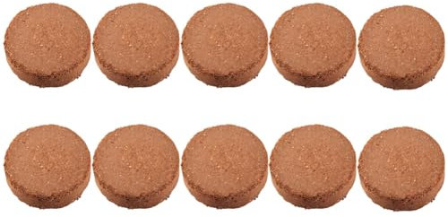 Bamberg Mix di Terriccio Naturale per Invasatura Biologica Premium da 80 Mmx20 Mm, Mix Iniziale di Semi Concentrati di Cocco Biologico e Alimenti