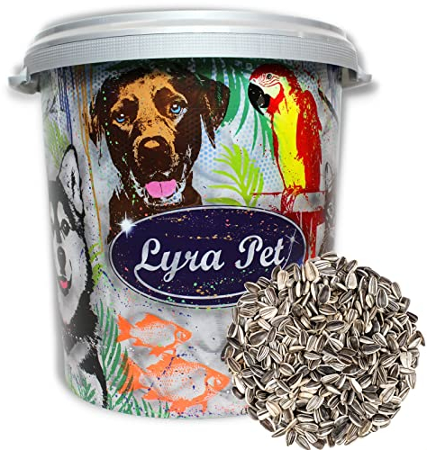 Lyra Pet® | 10 kg Gestreifte Sonnenblumenkerne + 30 L Tonne | HK Bulgarien | Ganzjähriges Wildvogelfutter | Streufutter für Wildvögel | Naturbelassener Gourmetsnack | Energie für Körnerfresser