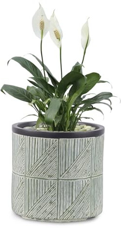 VOSSMOON Large Plant Pots Outdoor Garden Round Flowerpots Indoor, 32cm Concrete Planter Pot for Big Olive Trees, Plant Containers with Drainage Holes, Lime Green