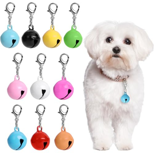10 Stück Hundeglocke, Kleine Glöckchen, Haustierglocken für Katzen und Hunde, Katzen Klingel, Metall Jingle Bells, Charm-Haustieranhänger Verlieren Sie nicht Training Charms für Haustiere