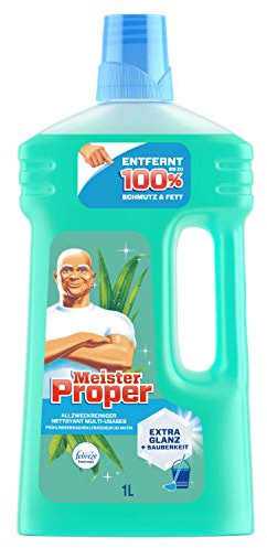 Meister Proper Allzweckreiniger Frühlingserwachen, 1er Pack (1 x 1 l)