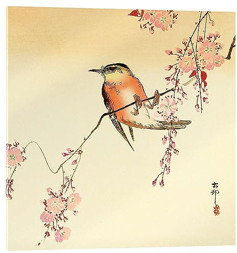 Posterlounge Roter Vogel und Kirschblüten Acrylglasbild von Ohara Koson 50 x 50 cm Beige Wandbilder Wanddeko