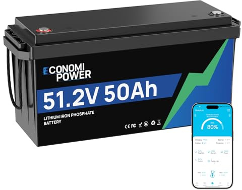 EconomiPower Batterie au lithium LiFePO4 48V 50 Ah avec Bluetooth et BMS 50 A intégré, cellules A, durée de vie de 10 ans, parfaite pour les moteurs solaires, camping-cars, trolling