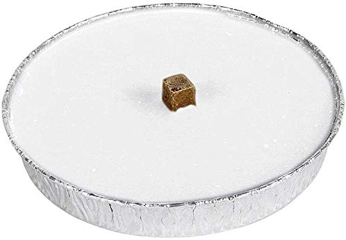 Burgenstern große Nordlicht - Flammschalen im Alutopf Outdoorkerzen mit windstabilem Fackeldocht, Brenndauer ca. 8 Std., Gartenkerzen Partykerzen Garten Terrasse (15)