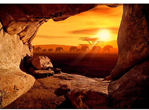 Runa Art Fototapete Afrika Elefanten 352 x 250 cm Vlies Tapeten XXL Moderne Wandtapete Wohnzimmer Schlafzimmer Orange 9343011c
