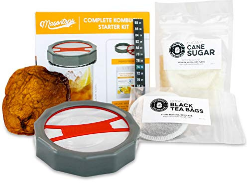 Masontops Complete Kombucha Starter Kit - Includes Organic Scoby, Thermometer, Activating Sugar & Kombucha Brewing Lid