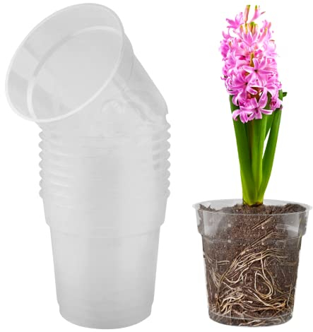 TSLBW 10 Pieza Maceta de Plástico Transparente Orquidea Maceta de Plástico Transparente para Orquídeas con Agujeros de Drenaje para Balcón Interior y Exterior
