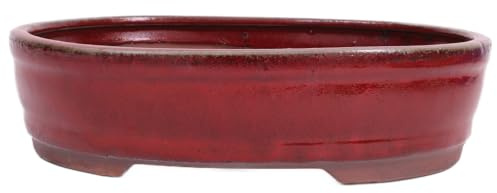 generisch Bonsai - Schale oval 31.5 x 24.5 x 8.3 cm, Bordeaux 40447