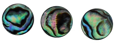 3 Stück Fingerschlüssel aus Abalone Muschel für Trompeten | Schön Gemustert, Leicht zu Verwenden, Geschenk für Kinder, Passend für Trompete