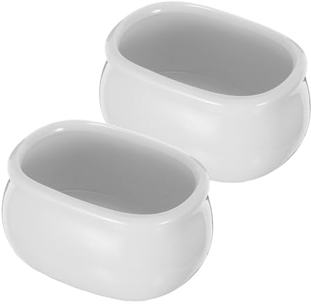 VERDANVERSE 2 pièces Support Sachets Sucre Porcelaine Blanche pour Thé et Condiments Bols Céramique Polyvalents pour Cuisine Bureau et Événements