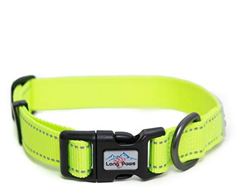 Neon Hundehalsband, reflektierendes Halsband, hohe Sichtbarkeit, Hundehalsband (groß)