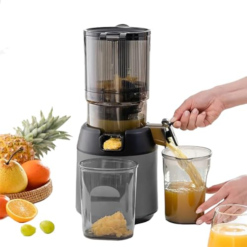 300W Professional Slow Juicer, Juicer Machines, Cold Press Masticating Juicer with 13cm Feeding Chute, Portable Pomace Separation Juicer Fruit juicer, for Fruits Vegetables gray