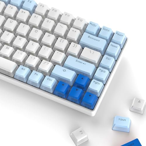 KOVNISE Pudding Keycaps, PBT Keycaps 165 Tasten Set Custom Keycap Set, Shine Through Keycaps OEM Profil, Blaue & weiße Keycaps Universal Kompatibilität für 100%, 75%, 65%, 60% Tastatur