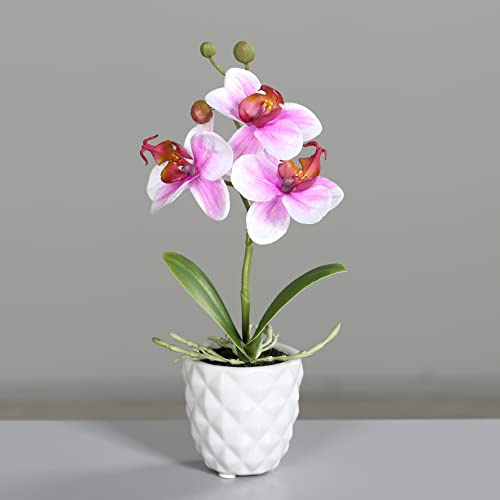 Seidenblumen Roß Mini Orchidee Real Touch 24cm im weißen Keramiktopf DP künstliche Blumen Orchideen Kunstpflanze (Pink-Weiß)