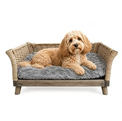 UNUS Cama para perros de mimbre, sofá cuadrado para perros largo 80 x ancho 50 x alto 30 cm, con cojín de poliéster extraíble, perfecto para todas las razas de perros