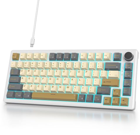 SbocKeeb V500 Mechanische Tastatur mit Knopf, Amerikanische QWERTY 75% Kabelgebundene Gaming-Tastatur, Dichtung Hot Swap, Vorgeschmierte Weiß Schalter RGB, für PC, MAC Shimmer