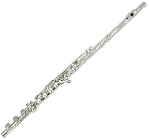 Querflöte Anfänger 17-Loch-C-Melodie-Flöte Mit Geschlossenem Loch E-Klappe Geteiltes Vernickeltes B-Schwanzflöteninstrument