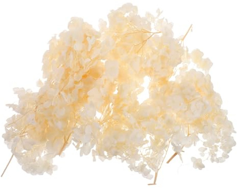 DOITOOL de Flor de Hortensia Secos Tono Decoraciones Naturales Preservadas para Bodas Confeti Floral para Manualidades y Centros de Mesa