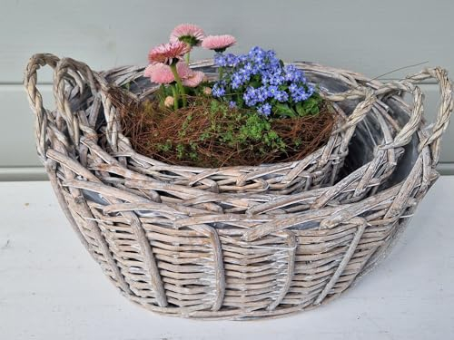 Arinosa Korbset Oval grau gewischt Pflanzkörbe mit Henkeln 3er Set 23x17xH15cm / 29x21xH17cm / 34x25xH19cm