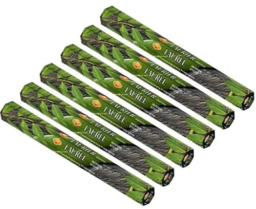 Incienso 6 Cajas Laurel Sac 120 Varillas Purificador Protector Ayuda a Alcanzar el Éxito aleja el Mal y atrae Las Cosas Buenas Elimina Energías Negativas Protección Hogar Palos Varas