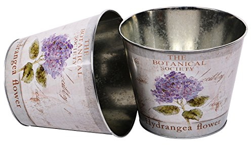 UNUS 2er Set Blumentopf Pflanzentopf Zink Hortensie Übertopf 21cm blau