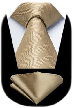 HISDERN Krawatten Champagne Herren Hochzeit Krawatte mit Einstecktuch Klassisch Business Krawatte & Taschentuch Set