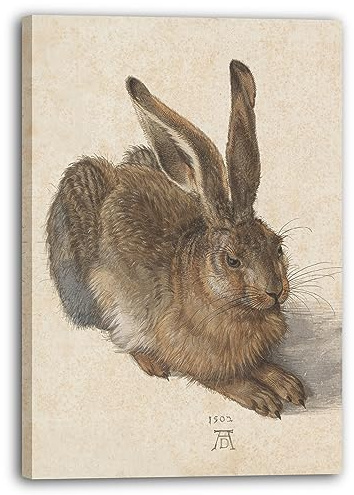 Printed Paintings Leinwandbild (30x40cm) Albrecht Dürer: Feldhase, Leinwand auf Keilrahmen gespannt und fertig zum Aufhängen, hochwertiger Kunstdruck aus deutscher Produktion
