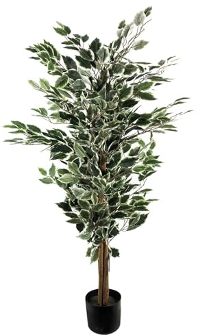 Artificial Office Plants