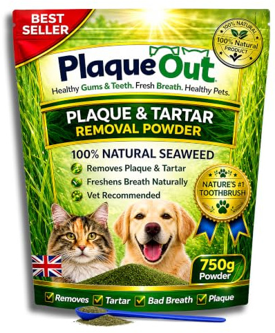 PLAQUE OUT 750 g Beutel – Plaque Off Remover – 100% natürliches und Algenpulver für Hunde & Katzen – Hundezahnreinigung, Plaque-Entfernung, Haustierzahnpflege, Mundgeruch, Zahnfleischpflege und