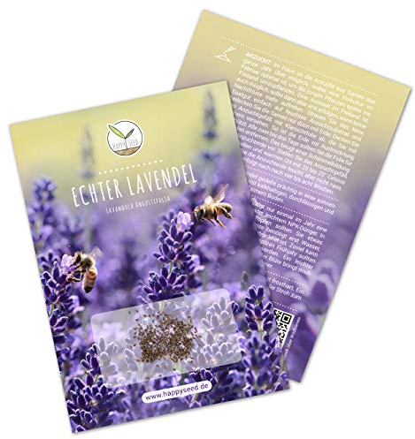300x Lavendel Samen mit hoher Keimrate - Vielseitig einsetzbare Heilpflanze & ideal für Bienen und Schmetterlinge (inkl. GRATIS eBook)