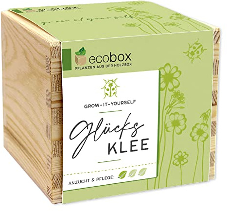 ecobox, Glücksklee, Pflanzen Aus Der Holzbox 11x11x10cm, Made in Austria, Nachhaltige Geschenkidee, Grow Your Own/Anzuchtset