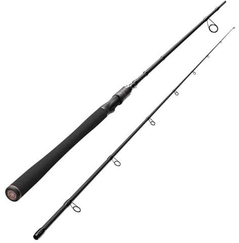 Sportex Kev Nitro RS-2 2,35m 19-75g Spinnrute