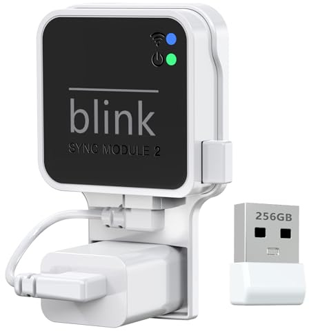Blink Clé USB avec Prise Murale pour Module de synchronisation Blink 2 - Support de Montage pour système de sécurité intérieur et extérieur - 256 Go - Module de synchronisation 2 Non Inclus - Blanc