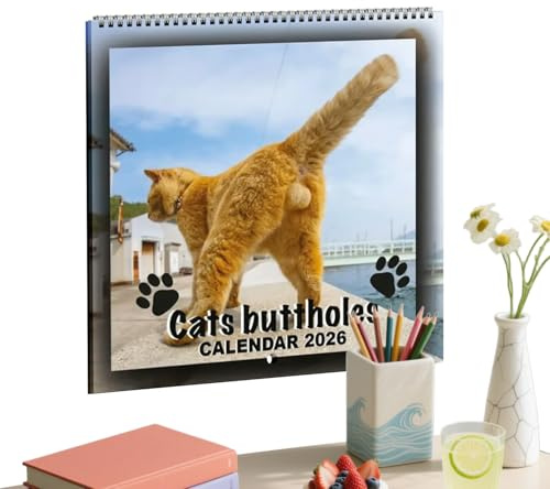 Calendrier Mensuel Cat Balls, Calendrier Mural Drôle De Chat 2026 Avec Des Moments Félins Hilarants Et L'humour Chats, Des Calendriers Sur Le Thème Chats Mensuels, L'organisateur De Planificateur
