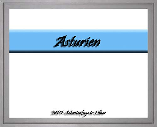 MDF-Leerrahmen ASTURIEN speziell für Leinwandbilder BZW. Keilrahmenbilder im Format 33 x 35 cm. Schattenfugenrahmen in der Farbe: Silber. 10 Farben zur Auswahl