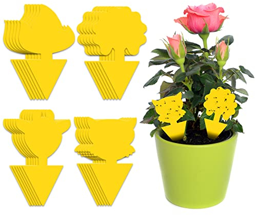 BBLIKE Trappola per Moscerini - 24 Pcs Anti Moscerini Piante in Casa Impermeabile, Insetticida Moscerini, Acchiappa Insetti Non Tossico Proteggere le Piante da Interno, Funziona Fino a 6 Mesi（Giallo）
