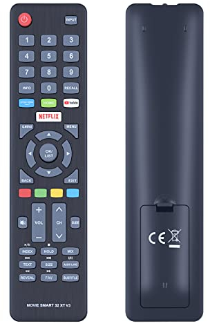 GOUYESHO Neu Ersatz Fernbedienung für Dyon SMART 43 XT Serien: [2905024001362], SMART 32 XT [DB800168, D800173-071] Serien: [2801120300334] (Nicht für Andere Modi)