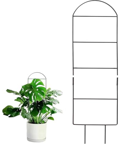 Griglia per piante in metallo – Supporto per piante rampicanti, pali regolabili in acciaio, stabile per rampicanti, clematide, pothos, monstera, per interni ed esterni
