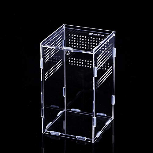 Transparente Reptilien-Terrariumbox, Insekten-Futterbox, Kletter-Terrarium, Acryl-Terrarium, tragbarer Reptilien-Lebensraum für Spinnen, Eidechsen, Skorpion, Käfer, Grillen, Mantis, Geckos (15 x 15 x