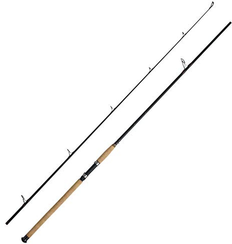 WFT Charisma Power II LTC 2,20m 180-620g Transportlänge 1,15m 2pcs