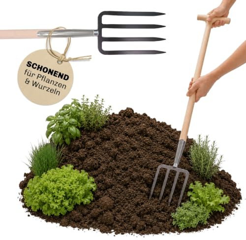 Made for SHW Spatengabel klein mit 4 Zinken und Holzstiel | Gr. 18 x 27 cm | Für Beet- & Gartenarbeiten | Lockern, Pflanzen & Umgraben | Kompakt für präzises Arbeiten | 4 Zinken & Buchen-T-Stiel