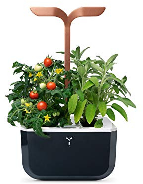 Véritable Indoor-Garten Exky® SMART (Copper) Kompakter und autonomer intelligenter Garten mit Adapt-Light-Technologie - Mit 2 Lingots®