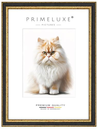 PrimeLuxe Massiv Holz Bilderrahmen - Maßanfertigung 50 x 150 cm in Alt-Schwarz Gold | Größe wählbar | mit entspiegeltem Acrylglas | Rahmen für Poster | Puzzle | Foto collage