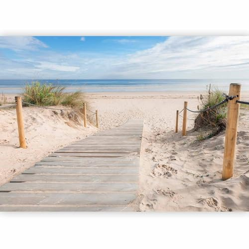 murando Fotomurales autoadhesivo Playa 392x280 cm Papel Pintado Decoración | Pared Murales Pegatina decorativos adhesivos 3d moderna de Diseno Fotográfico - paisaje