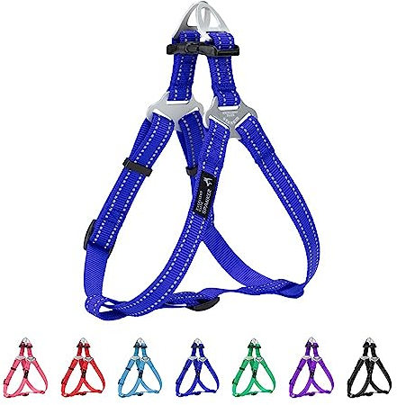 EXCELLENT ELITE SPANKER Schritt in Hundegeschirr Einstellbar Nicht Ziehen Hundegeschirr Welpengeschirr für Kleine Mittlere Große Hunde Training Walking von Haustier-Geschirr（BLU-M）